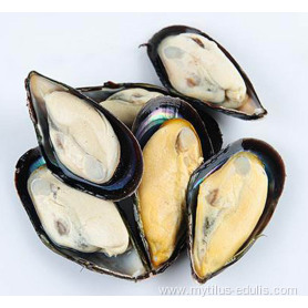 Frozen Cooked Half Shell Mussel